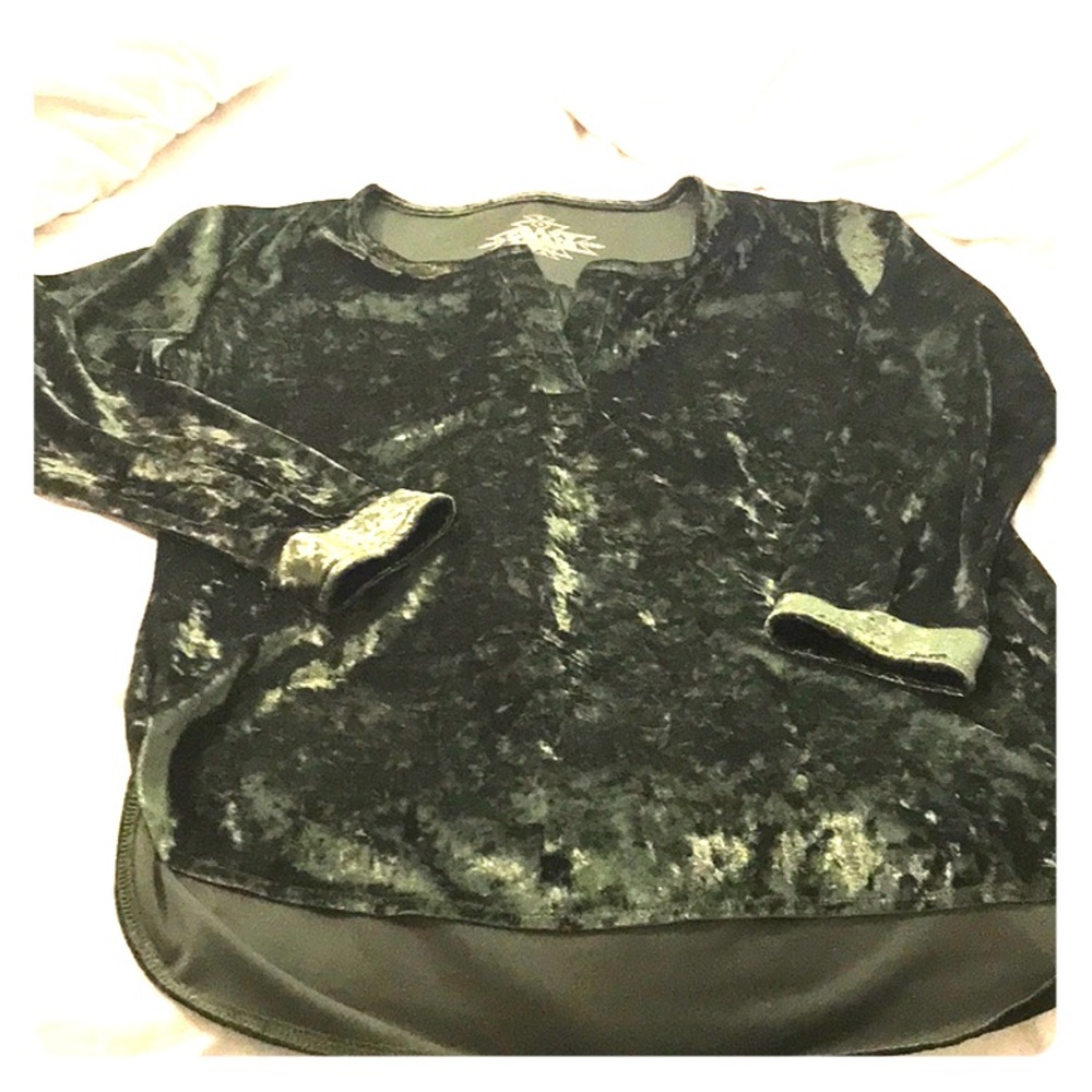 Beautiful Green velvet tunic Crazy Train NWT